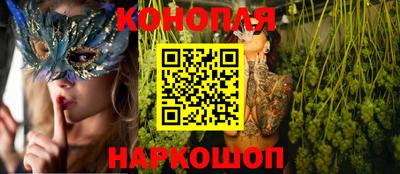 гидра Новодвинск