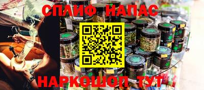 гидра Новодвинск