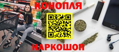 гидра Новодвинск