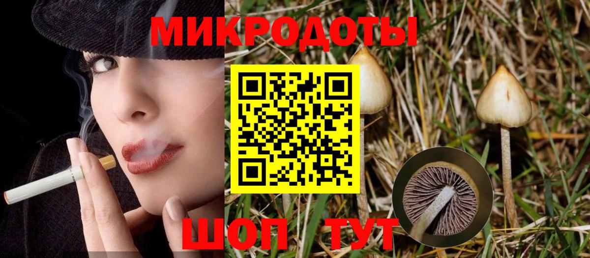 Тимашёвск  Галлюциногенные грибы Psilocybine cubensis  Вход с VPN 